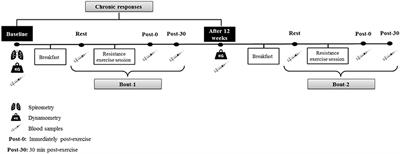 Inflammatory and Metabolic Responses to Different Resistance Training on Chronic Obstructive Pulmonary Disease: A Randomized Control Trial